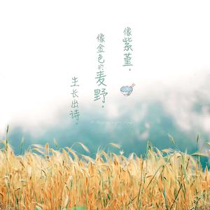 芭乐视频黄下载
